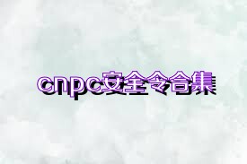 cnpc安全令合集