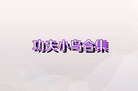 功夫小鸟合集
