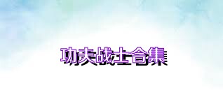 功夫战士合集