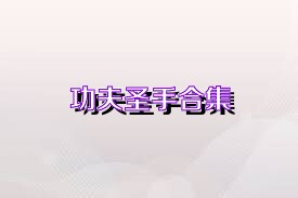 功夫圣手合集