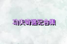 功夫奇遇记合集