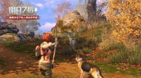 阿浪国际服画质助手最新版本3