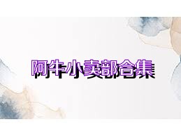 阿牛小卖部合集