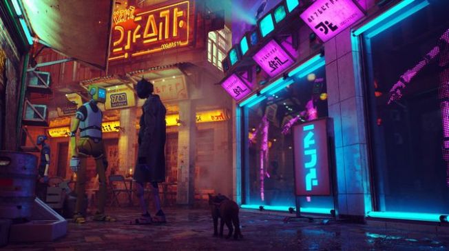 stray迷途猫3