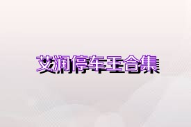 艾润停车王合集