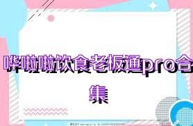 哗啦啦饮食老板通pro合集