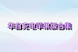 华自充电苹果版合集