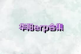 华阳erp合集