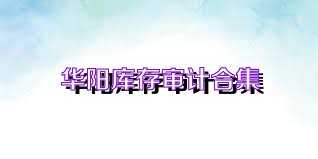 华阳库存审计合集
