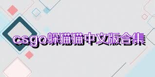 csgo躲猫猫中文版合集