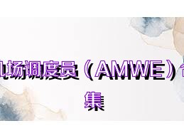 机场调度员（AMWE）合集