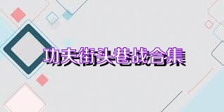 功夫街头巷战合集