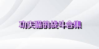 功夫猫的战斗合集