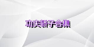 功夫轿子合集