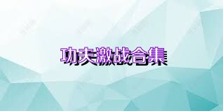 功夫激战合集