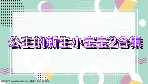 公主的新生小宝宝2合集