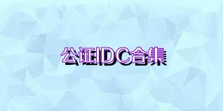 公证IDC合集
