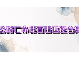 公路亡命徒直击追逐合集