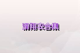 滑翔衣合集