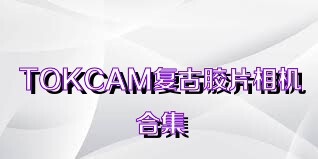 TOKCAM复古胶片相机合集