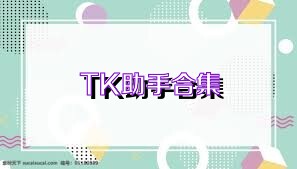 TK助手合集