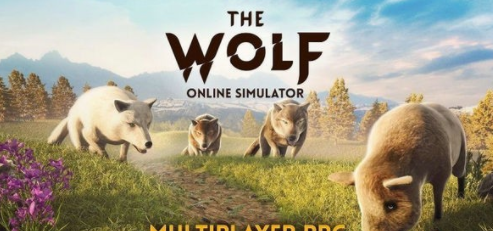 TheWolf游戏破解版3