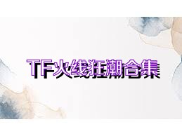 TF火线狂潮合集