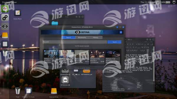 TellingLies中文2