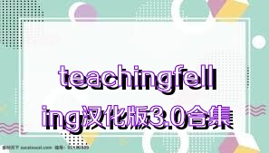 teachingfelling汉化版3.0合集
