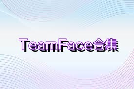 TeamFace合集