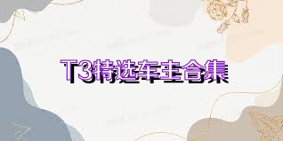 T3特选车主合集
