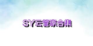 SY云管家合集