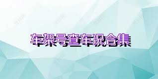 车架号查车况合集