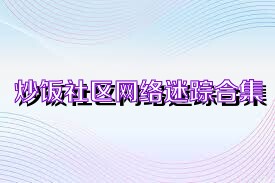 炒饭社区网络迷踪合集