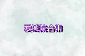 爱城院合集