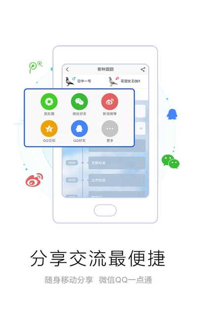 爱鸽者电脑版2