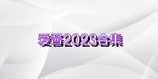 爱酱2023合集
