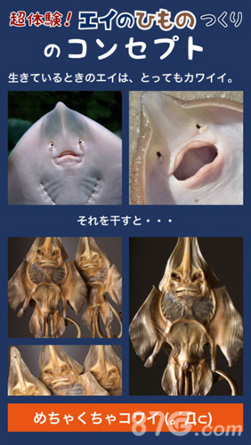 超体验晒鱼5
