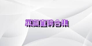 巢湖直聘合集