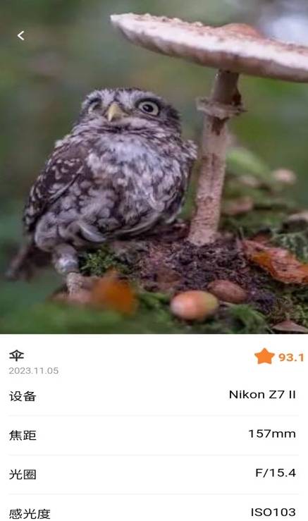 潮流秀3