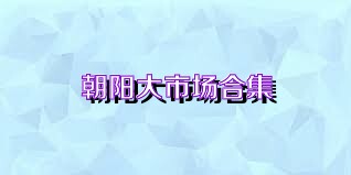 朝阳大市场合集