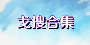 戈搜合集