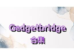 Gadgetbridge合集