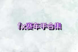 fx赛车手合集