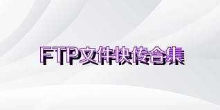 FTP文件快传合集