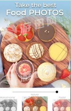 foodstylist中文版3