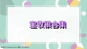 珹宝收银合集