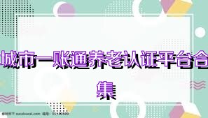 城市一账通养老认证平台合集