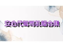 安心代驾司机端合集