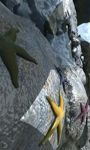安兔兔评测3D3